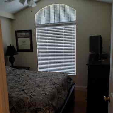 Great Room Tampa / Westchase House