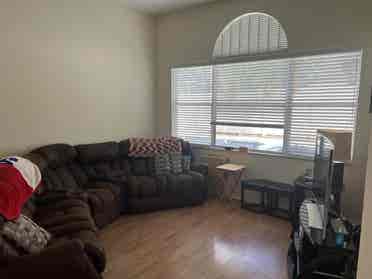 Great Room Tampa / Westchase House