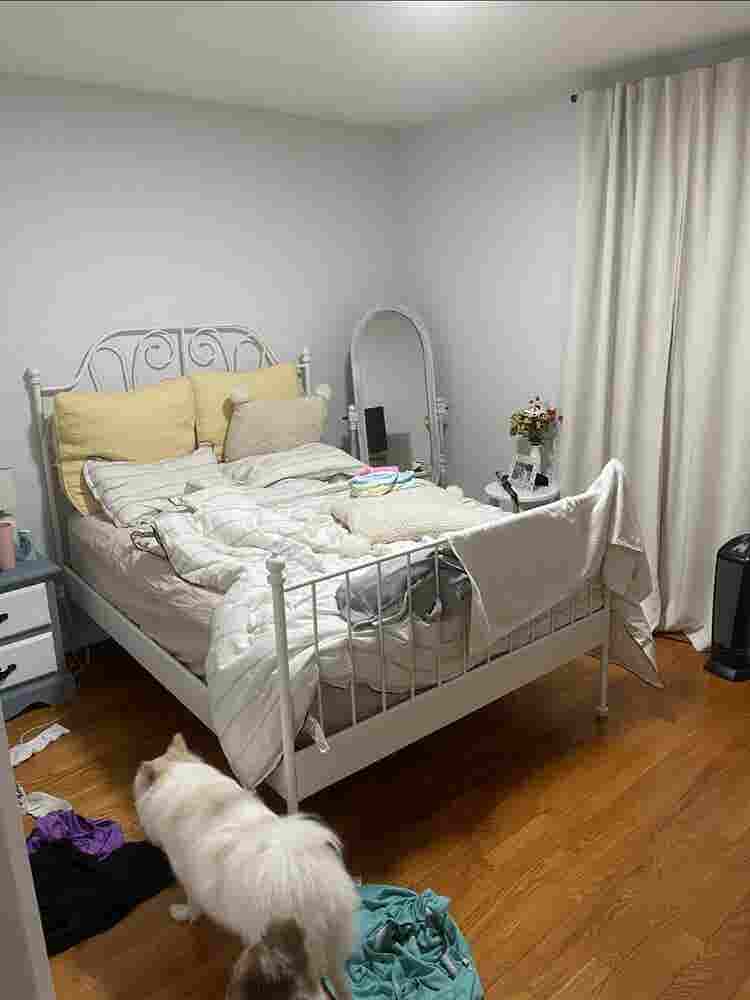 One room available