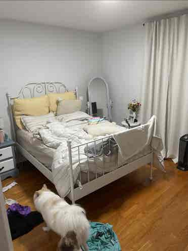 One room available