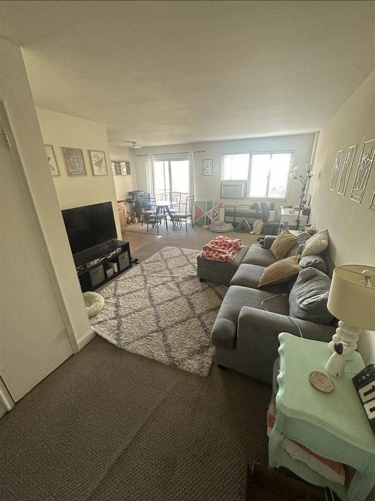 Rosslyn, VA Apartment