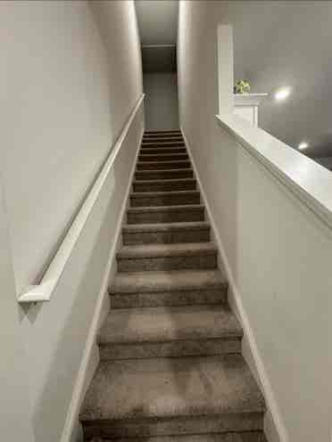 Looking for Roommate
