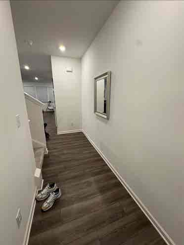 Looking for Roommate