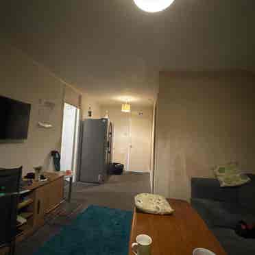Sharing Room for a female