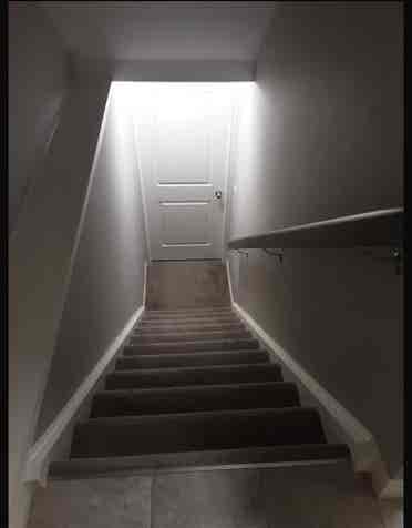 Single bedroom basement