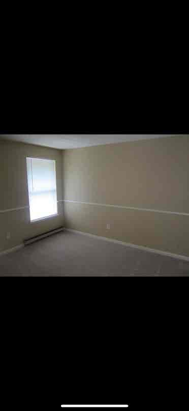 1 Room Available Starting in July