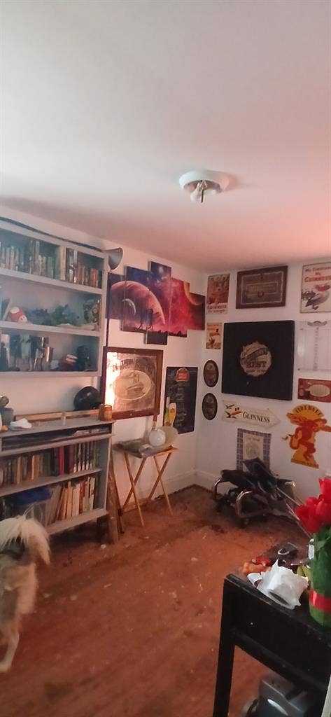 Everything you could need and more