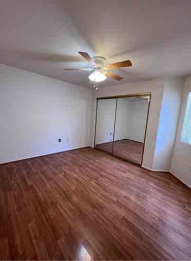 Looking for a roommate situation