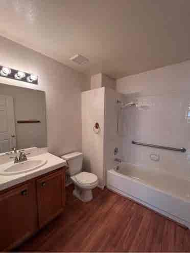 Looking for a roommate situation