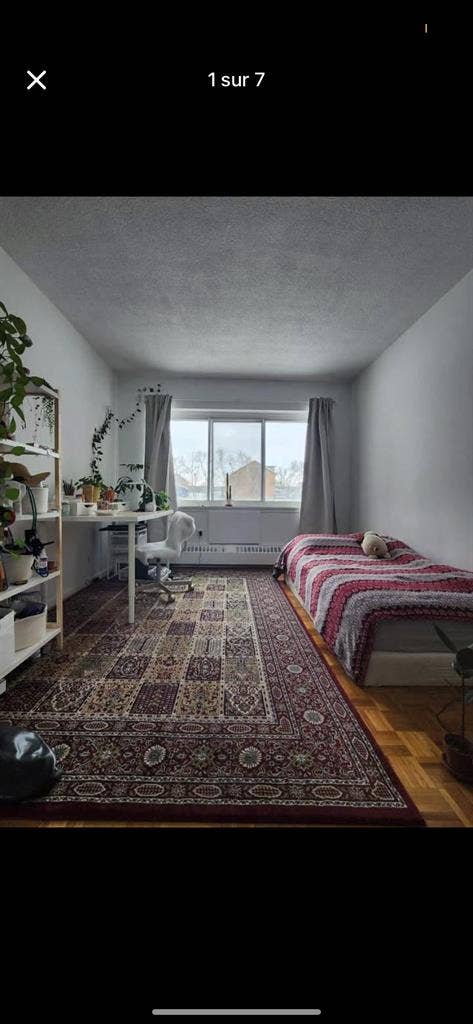 $ ROOM in MONTREAL