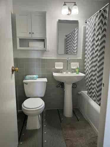 Looking For A Roommate