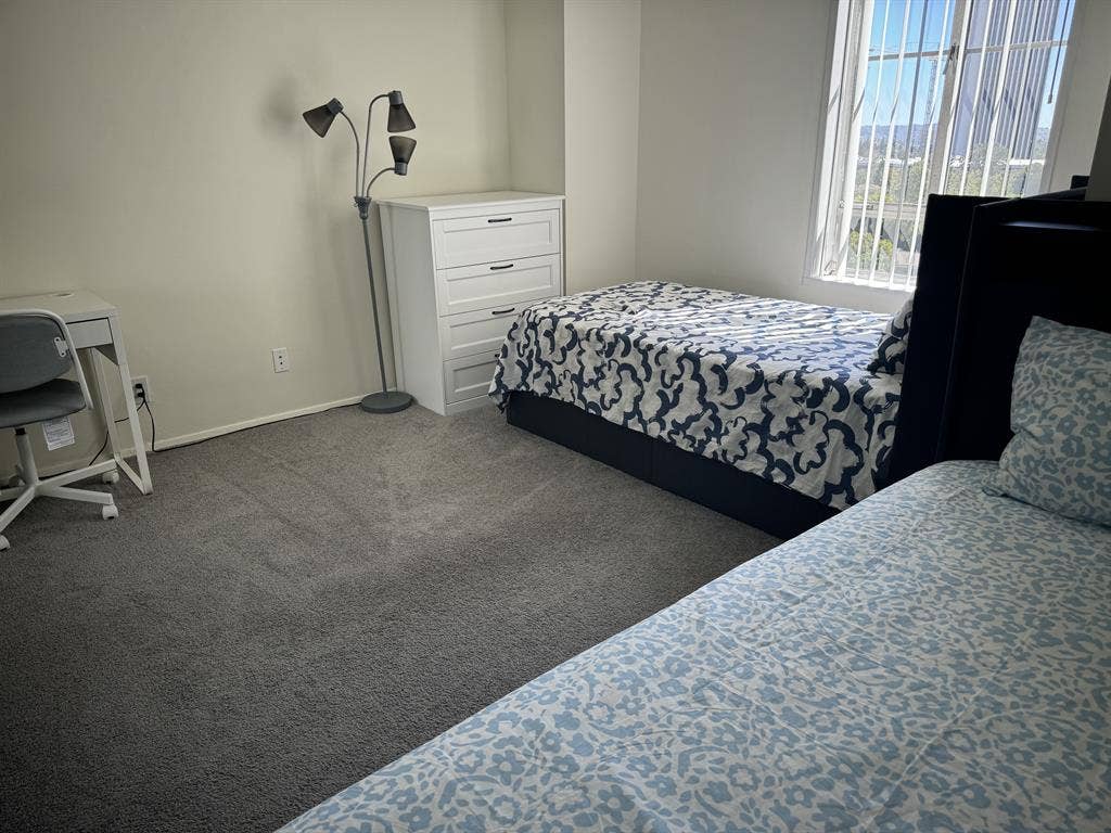 Looking For A Roommate