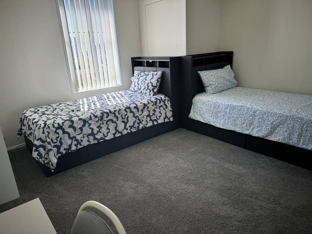 Looking For A Roommate