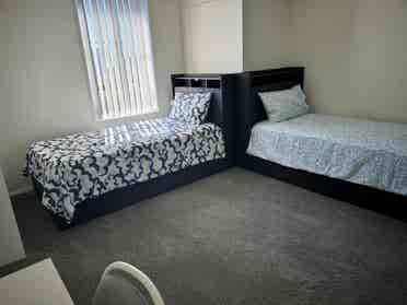 Looking For A Roommate