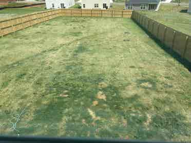 Room to rent in Lexington NC