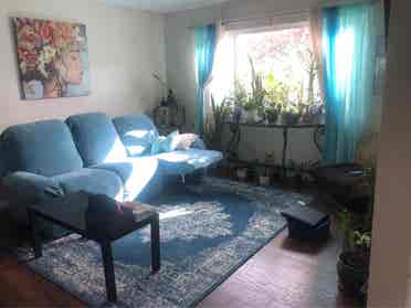 House share, private bath,
