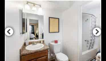 Room available in Aurora