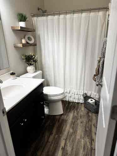 Roommate needed ASAP