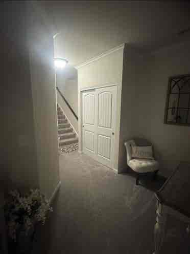 Roommate needed ASAP