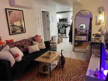 bedstuy immediate move in