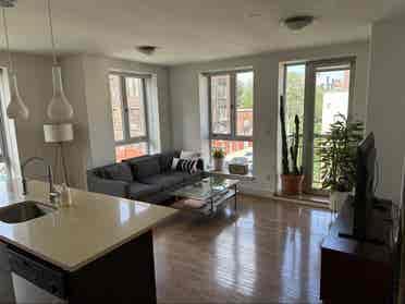 Looking for a new roommate June 1st