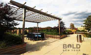 Looking for a new roommate June 1st