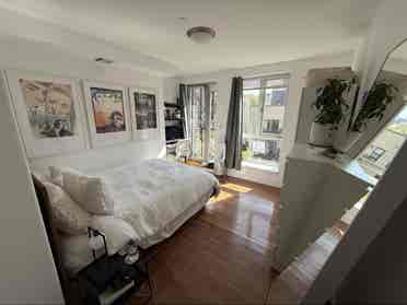 Looking for a new roommate June 1st