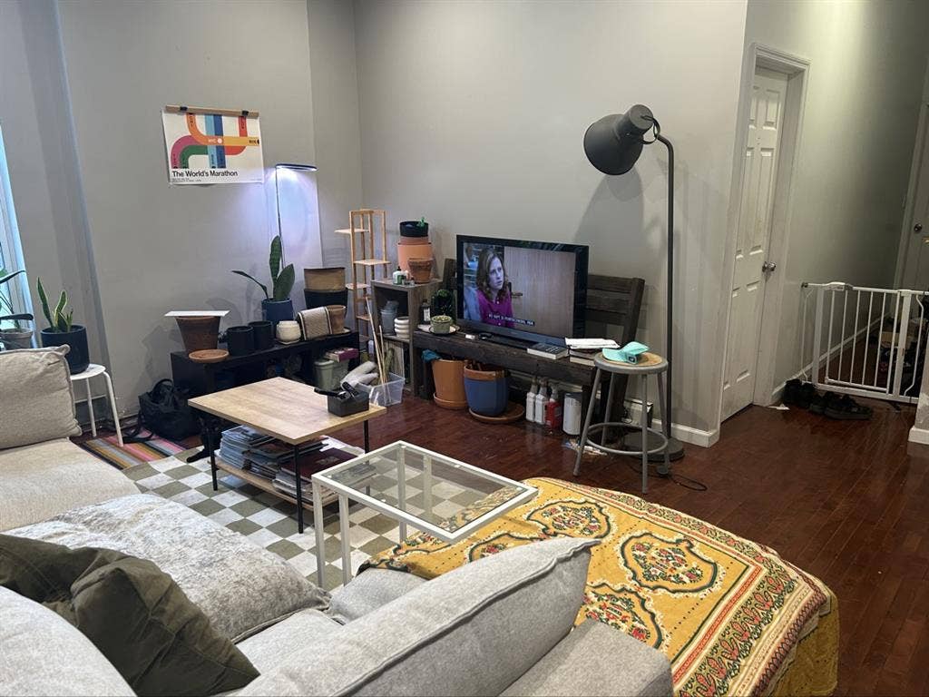 Looking for roommate Bedstuy