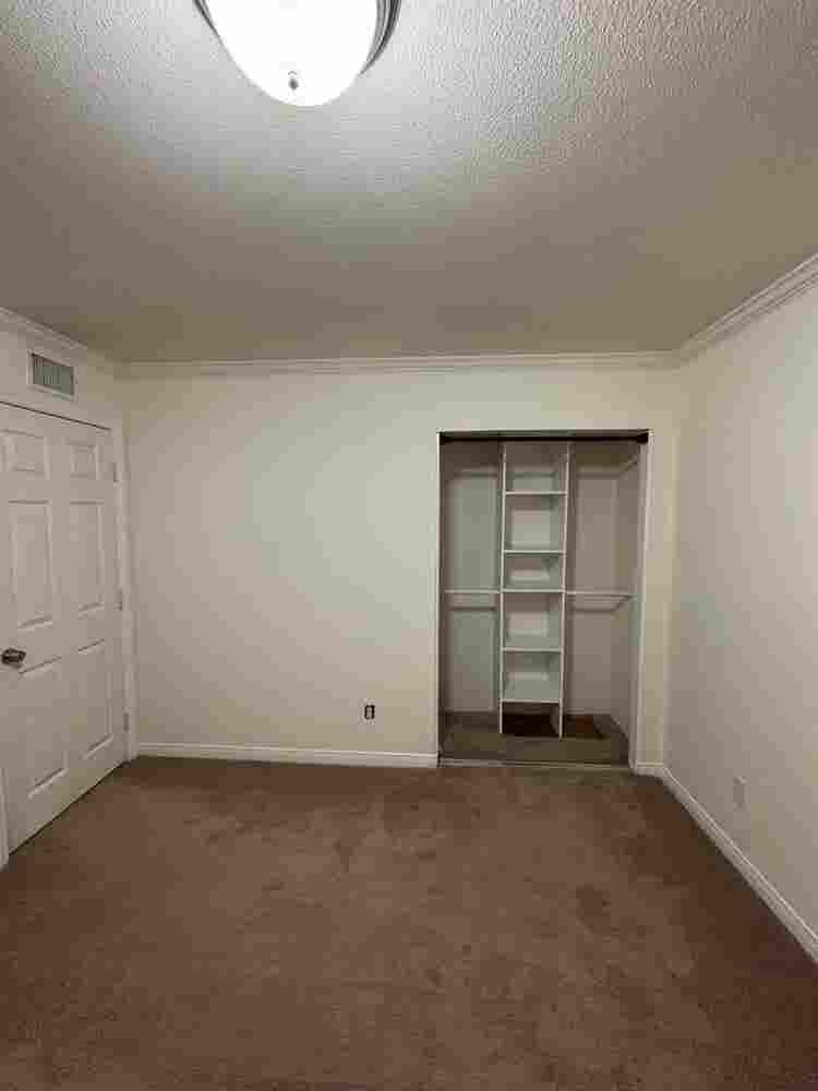 Room for rent!