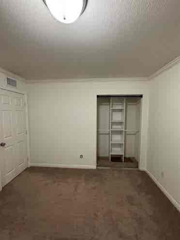 Room for rent!