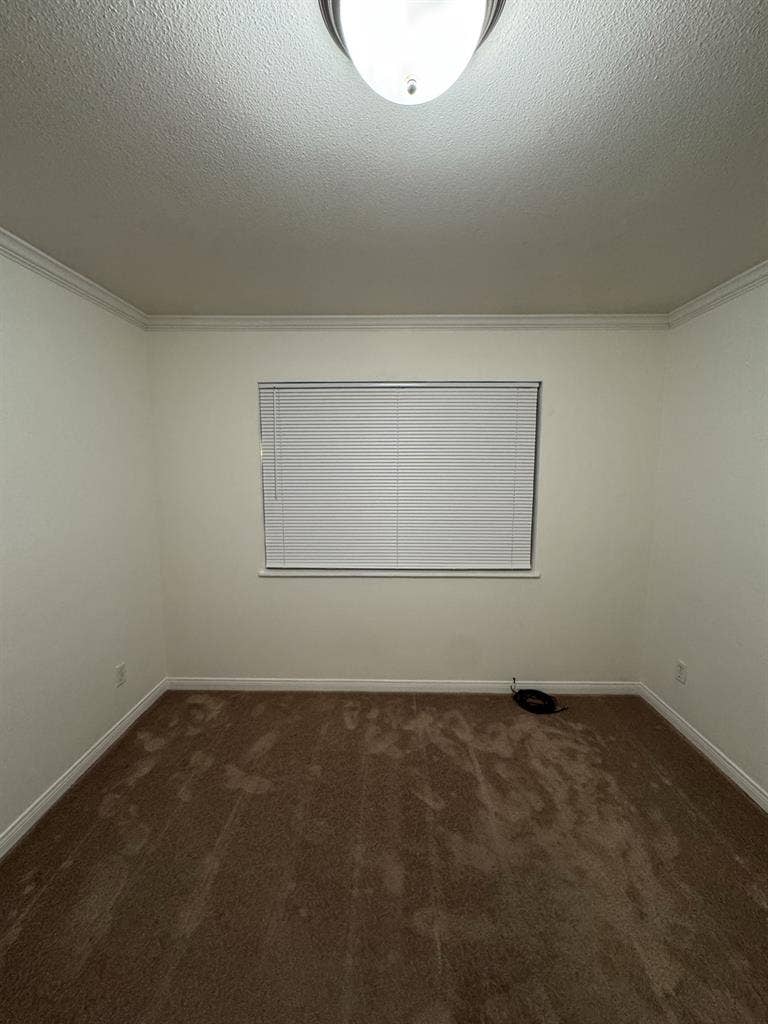 Room for rent!