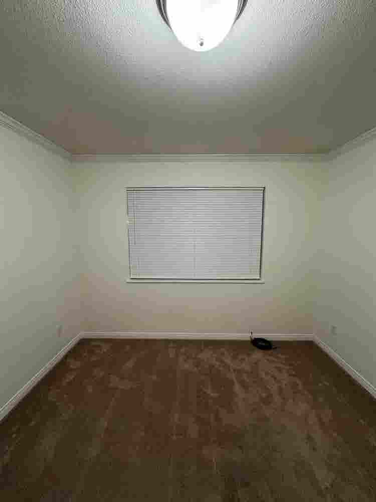 Room for rent!
