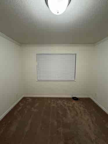 Room for rent!