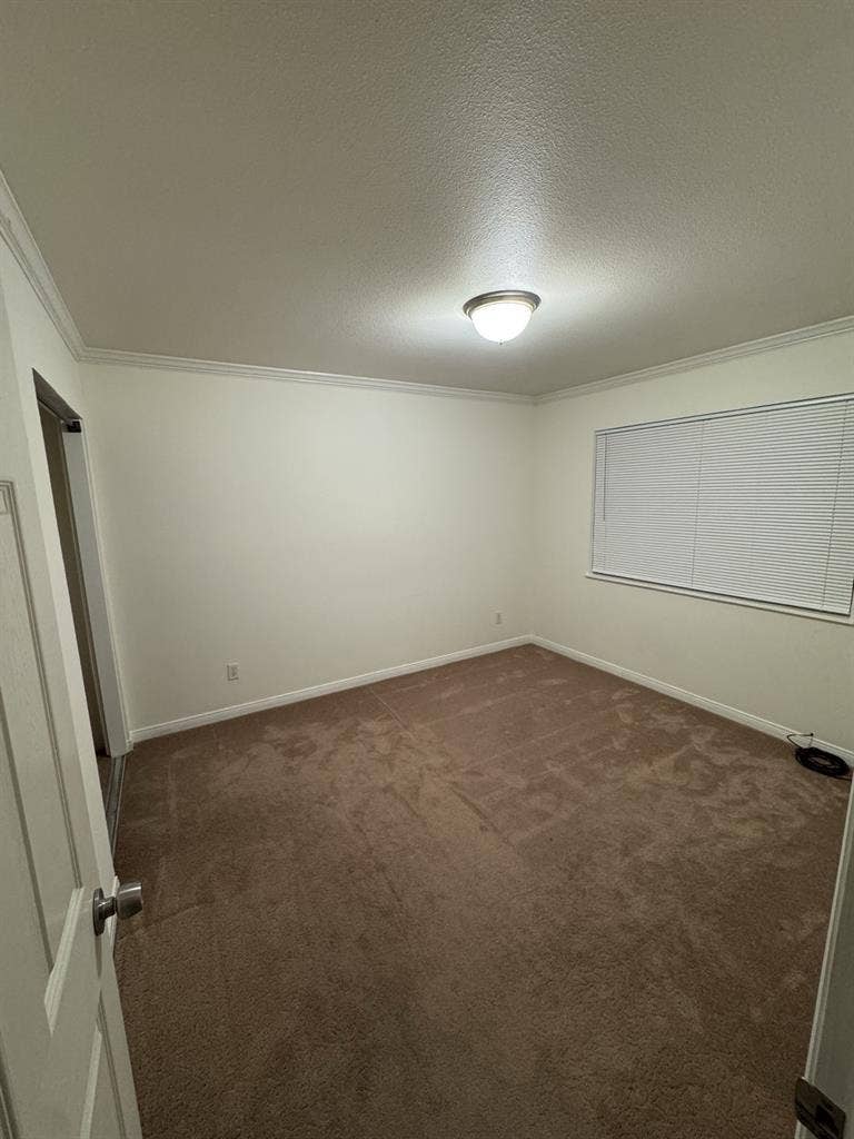 Room for rent!