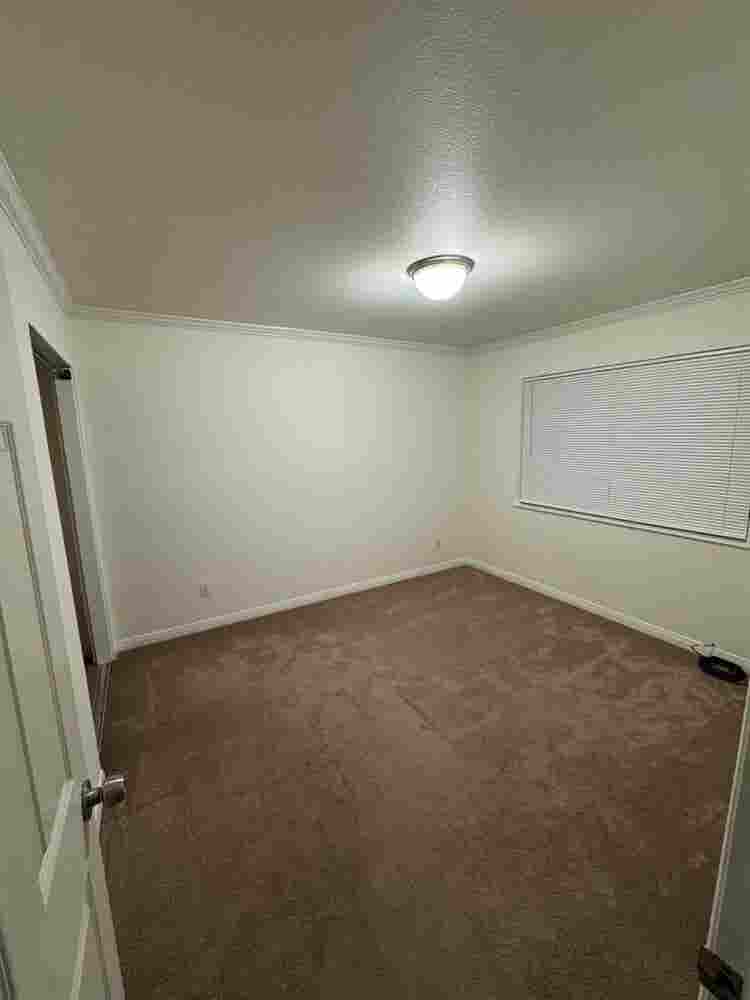 Room for rent!