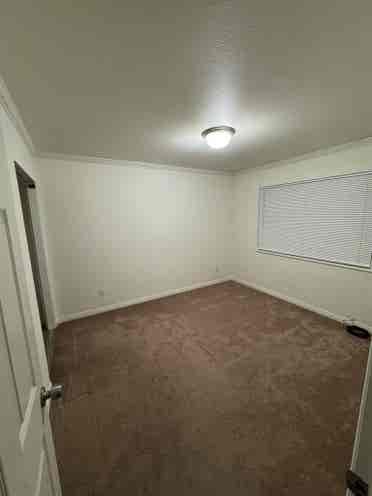 Room for rent!