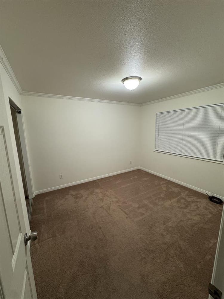 Room for rent!
