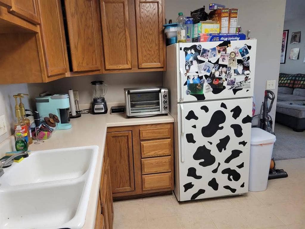 Seeking two roommates!
