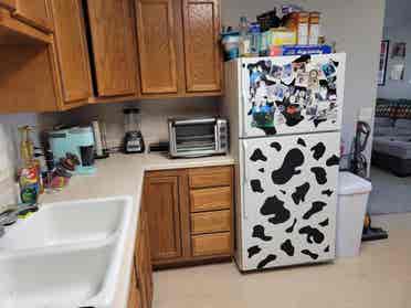 Seeking two roommates!