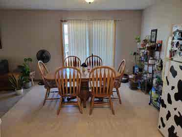 Seeking two roommates!