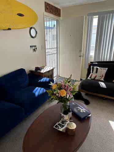 Looking for a roommate in North Par