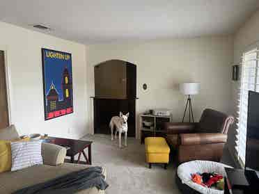 Room(s) for Rent