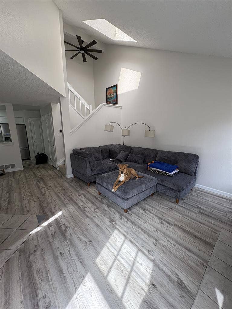 Looking for a roommate.