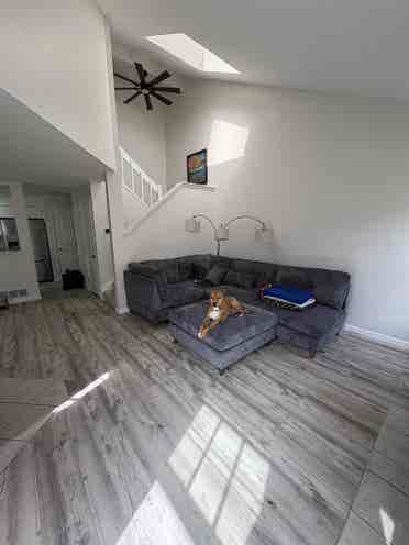 Looking for a roommate.