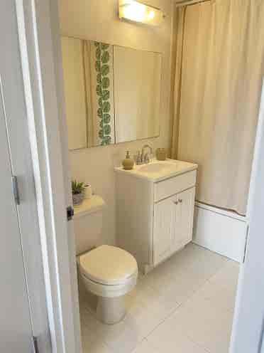 Room Available in Loft Apartment