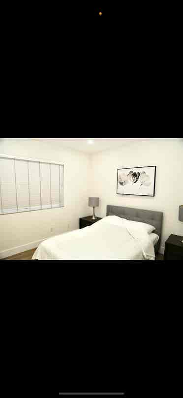Male roommate wanted