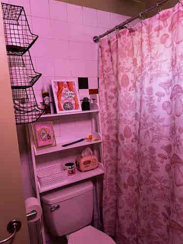 Roommate needed in quirky home!