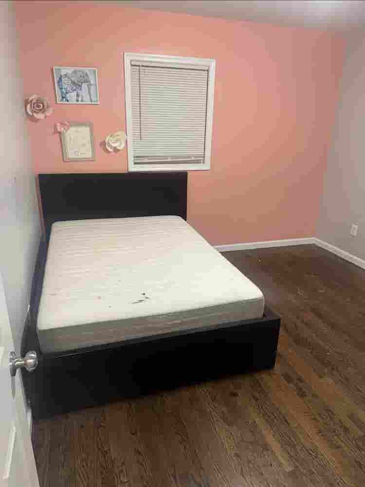 Room available in Hamilton, NJ