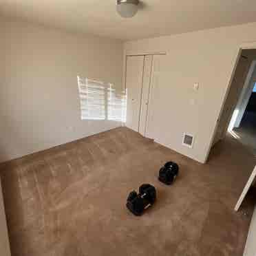 Room for rent