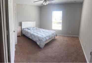 room for rent